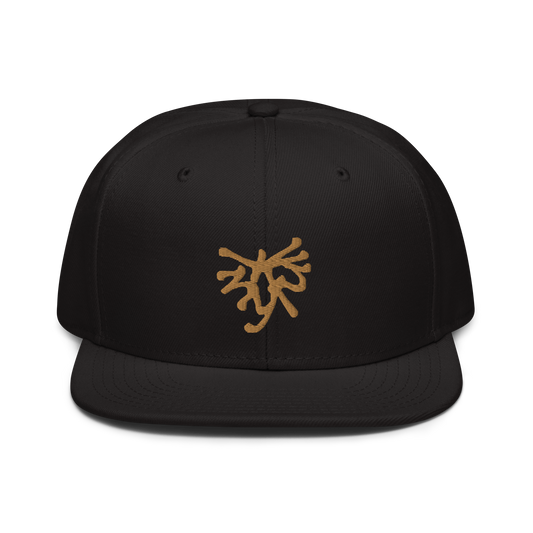 Gorra snap Tinyfull negra bordado oro